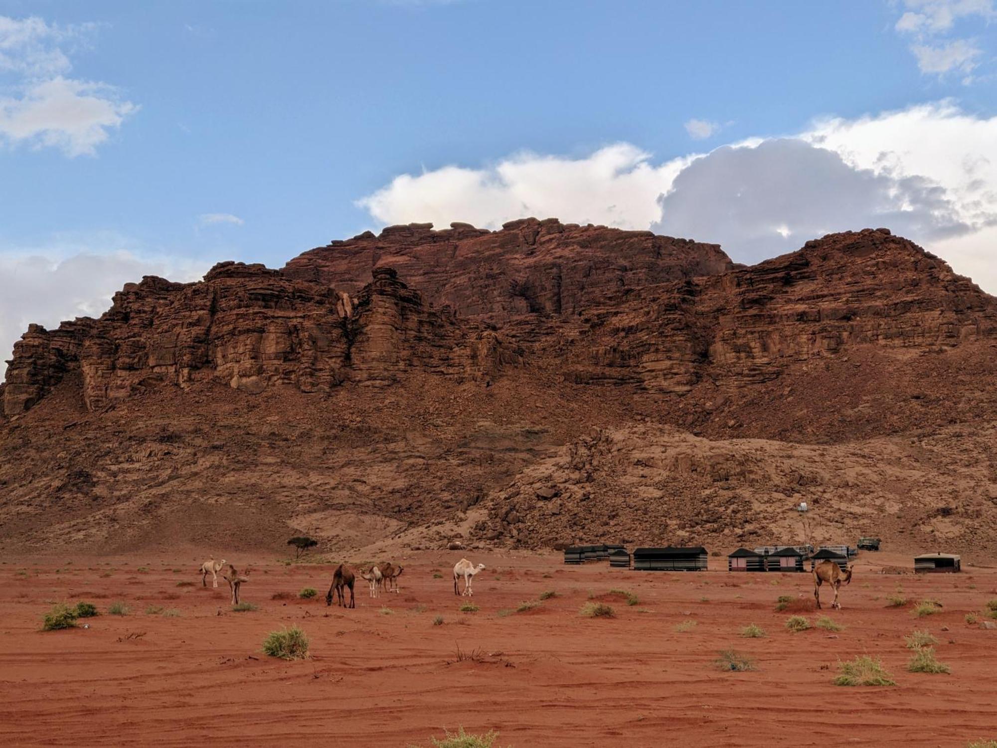 Wadi Rum Camp & Jeep Tour Екстериор снимка